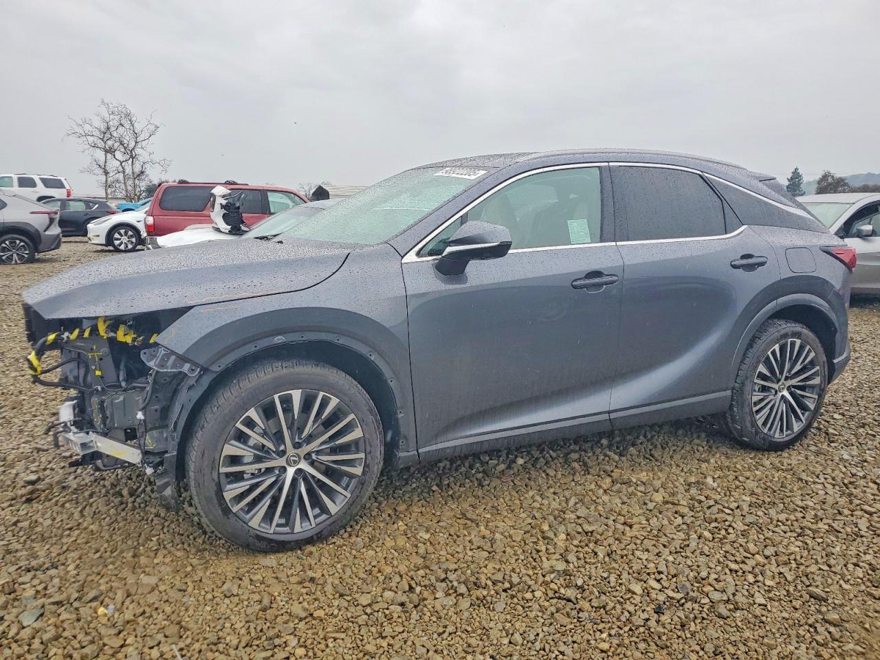 2025 LEXUS RX