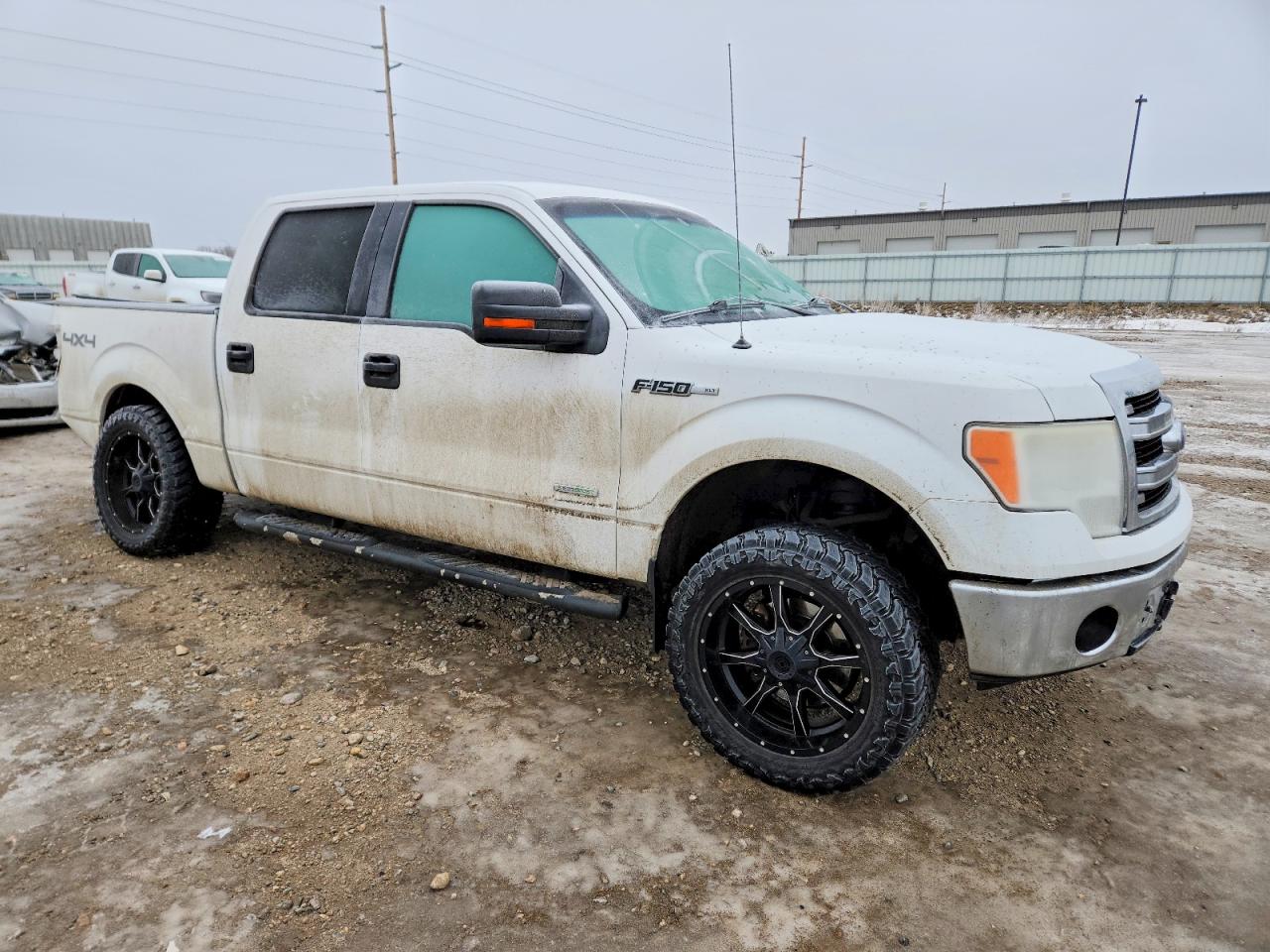 2014 FORD F150 SUPERCREW photo 4