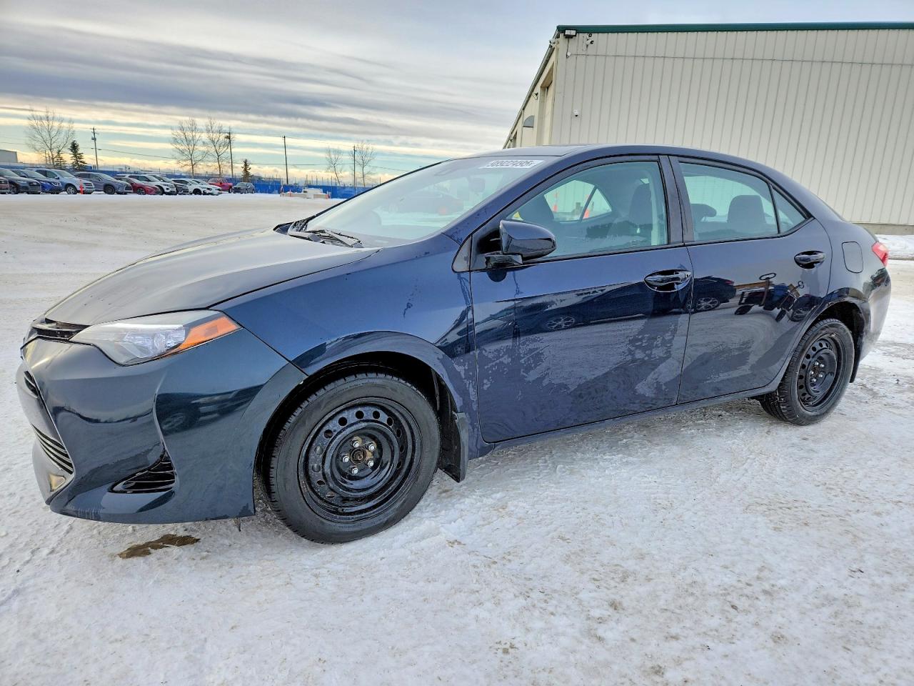 2019 TOYOTA COROLLA