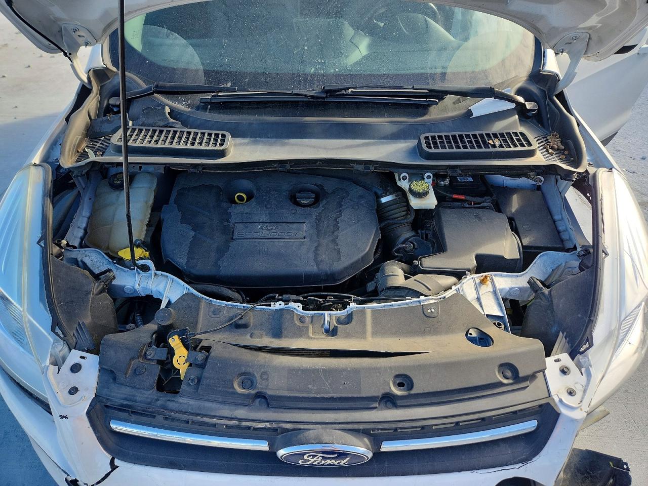 2015 FORD ESCAPE SE photo 12