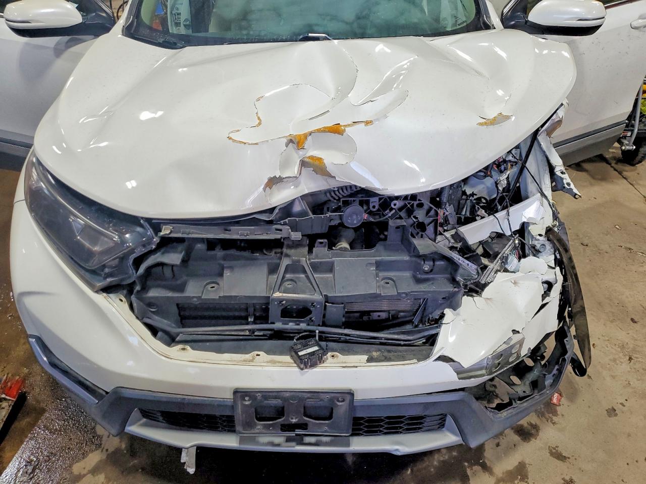 2018 HONDA CR-V EXL photo 11