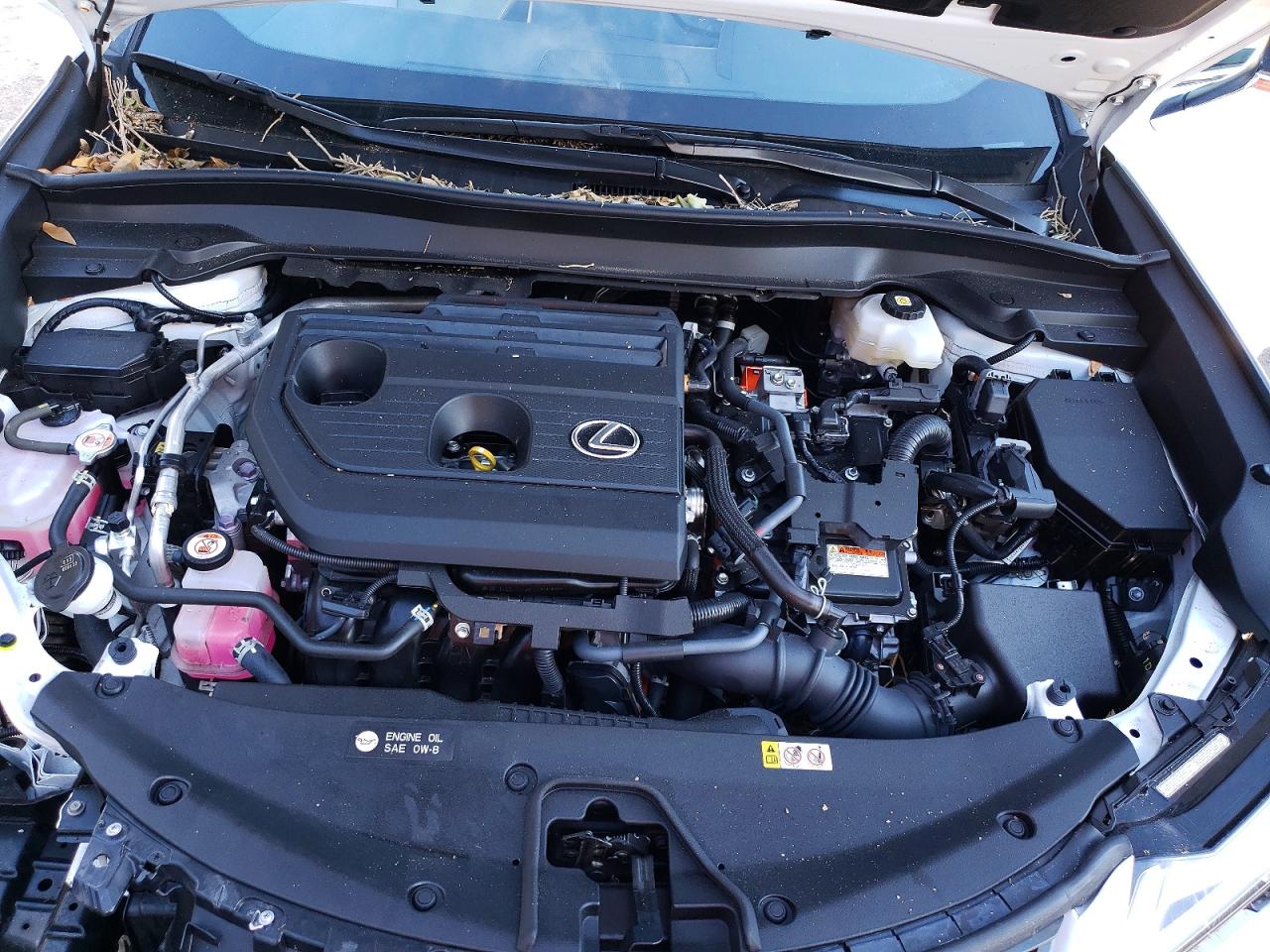 2025 LEXUS UX 300H BASE photo 12