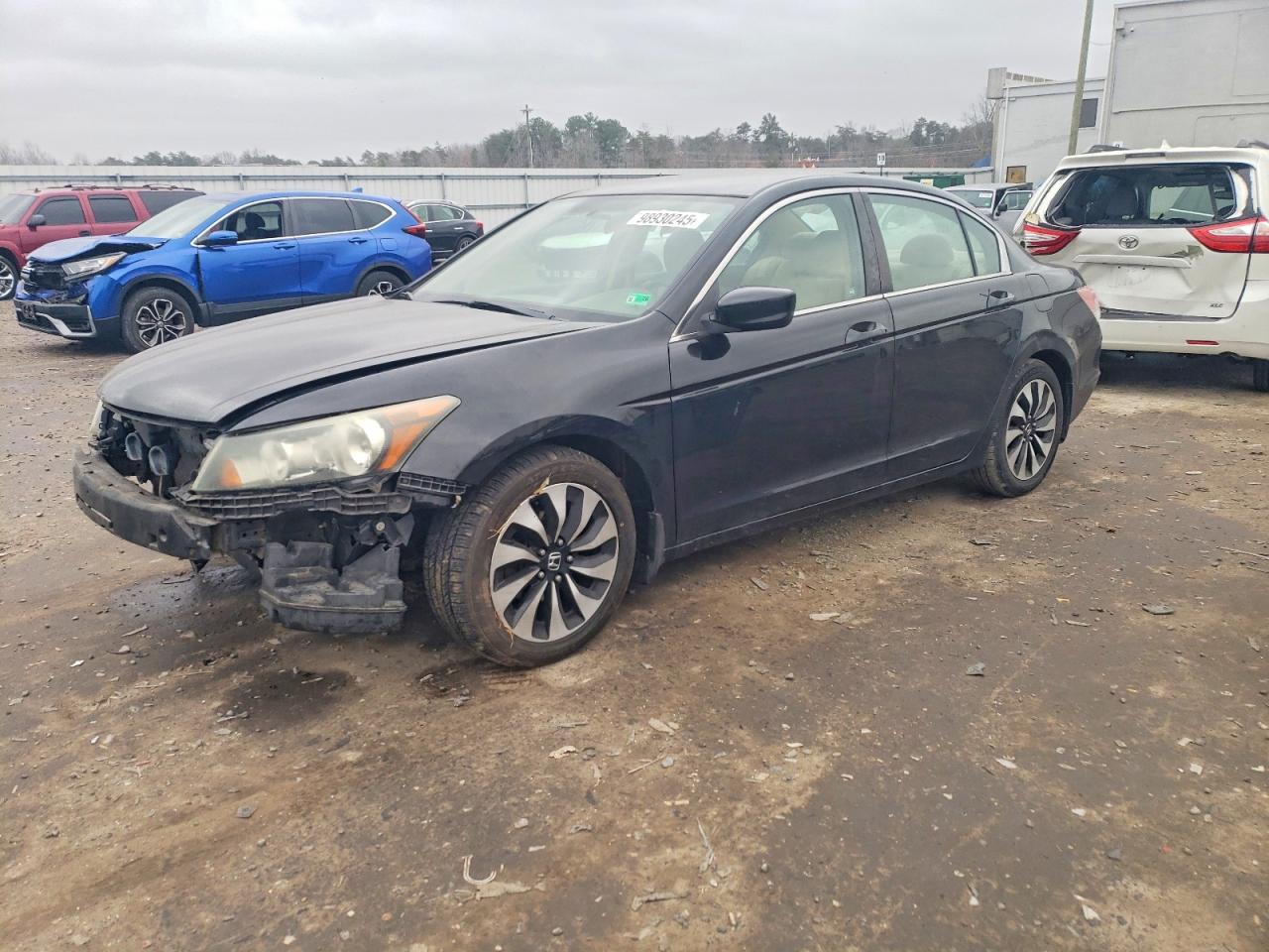 2010 HONDA ACCORD