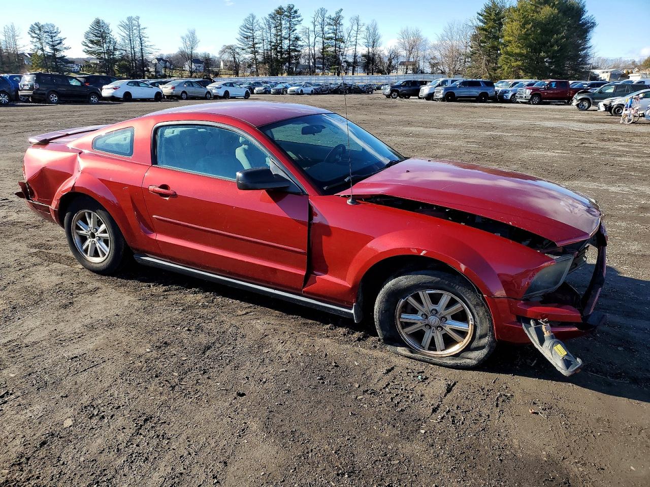 2008 FORD MUSTANG photo 4