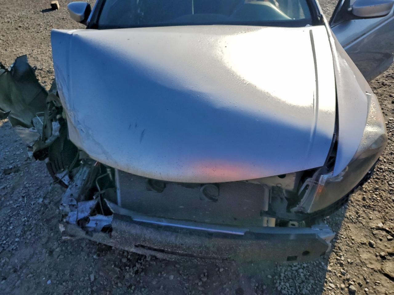 2010 HONDA ACCORD LX photo 11