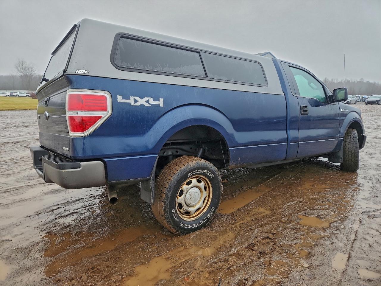 2013 FORD F150 photo 3