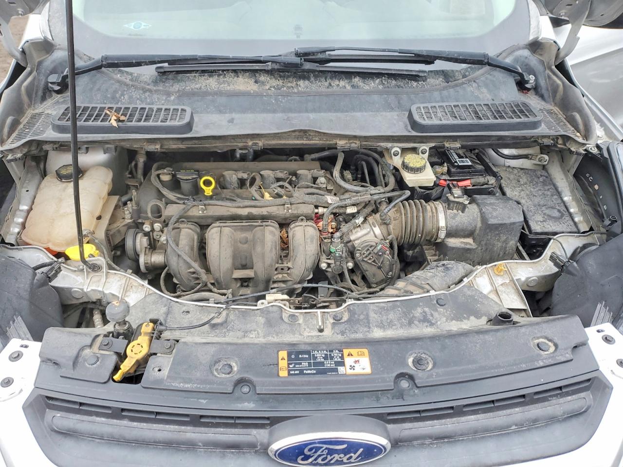 2014 FORD ESCAPE S photo 12