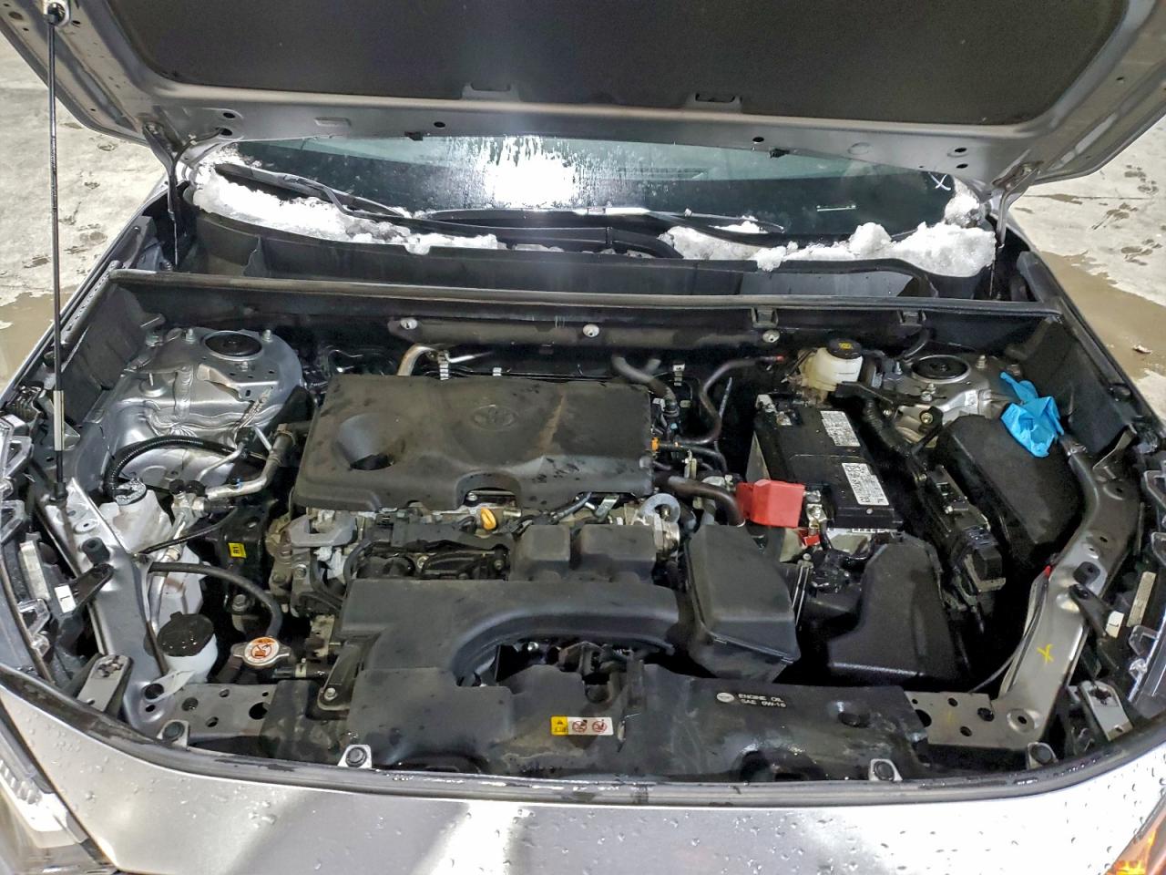 2024 TOYOTA RAV4 XLE photo 12