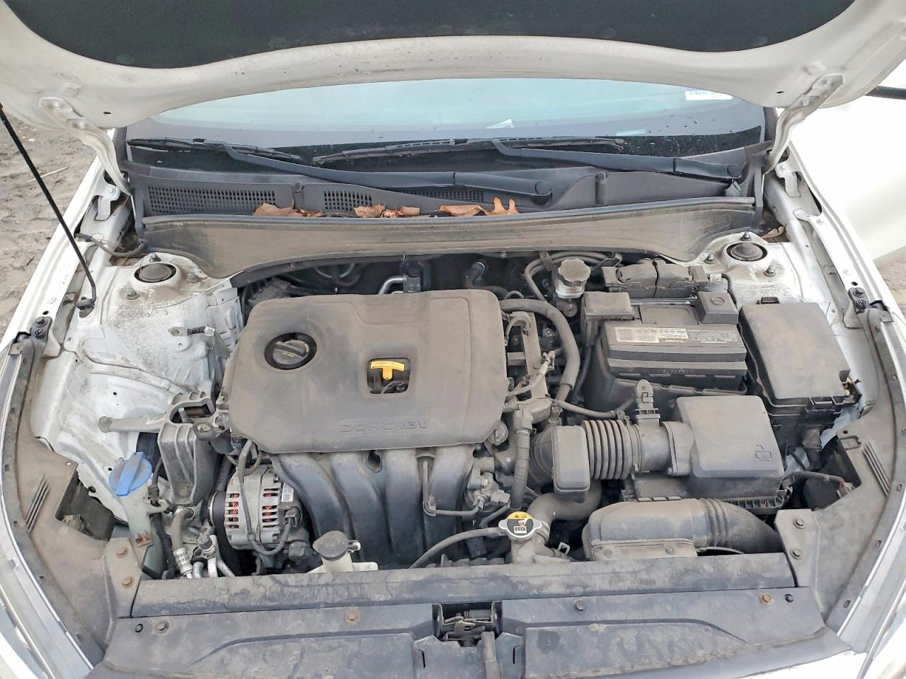 2019 KIA FORTE FE photo 11