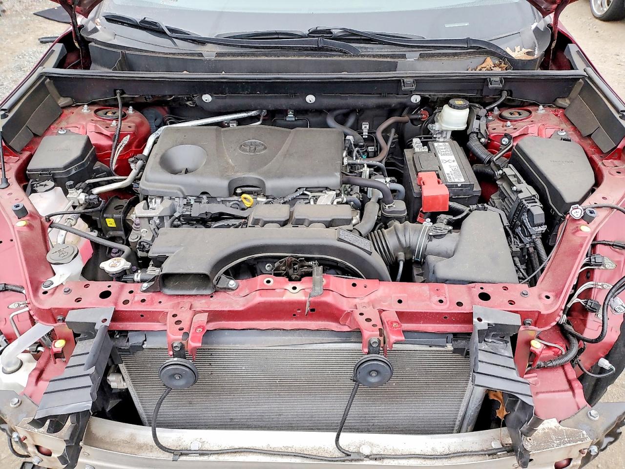 2019 TOYOTA RAV4 LE photo 12