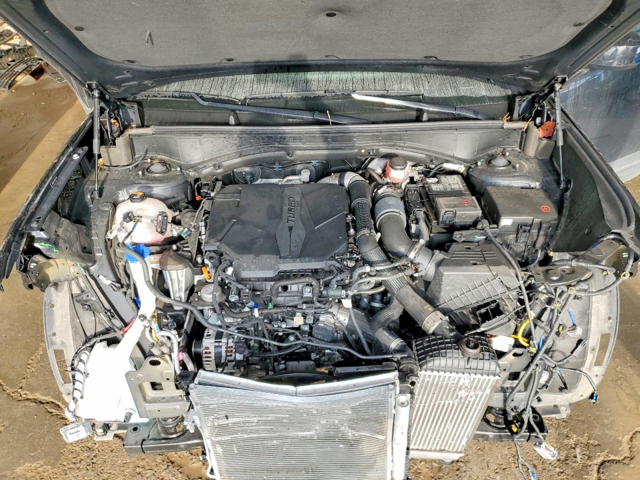 2024 HYUNDAI SANTA FE SE photo 12