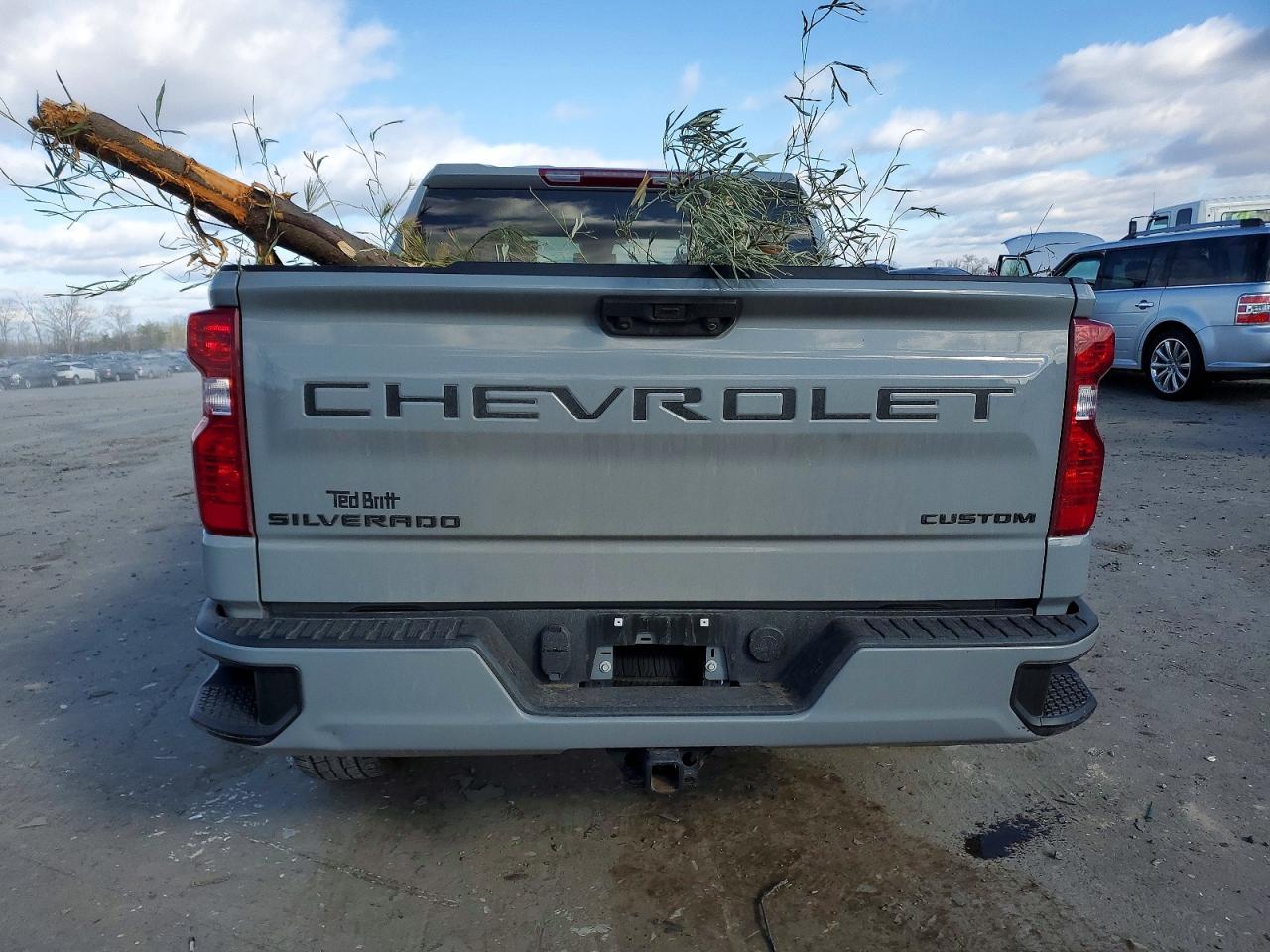 2024 CHEVROLET SILVERADO K1500 CUSTOM photo 6