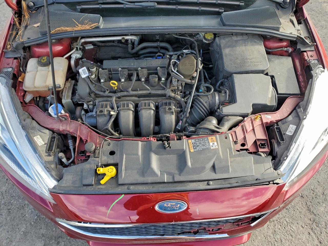 2015 FORD FOCUS SE photo 11