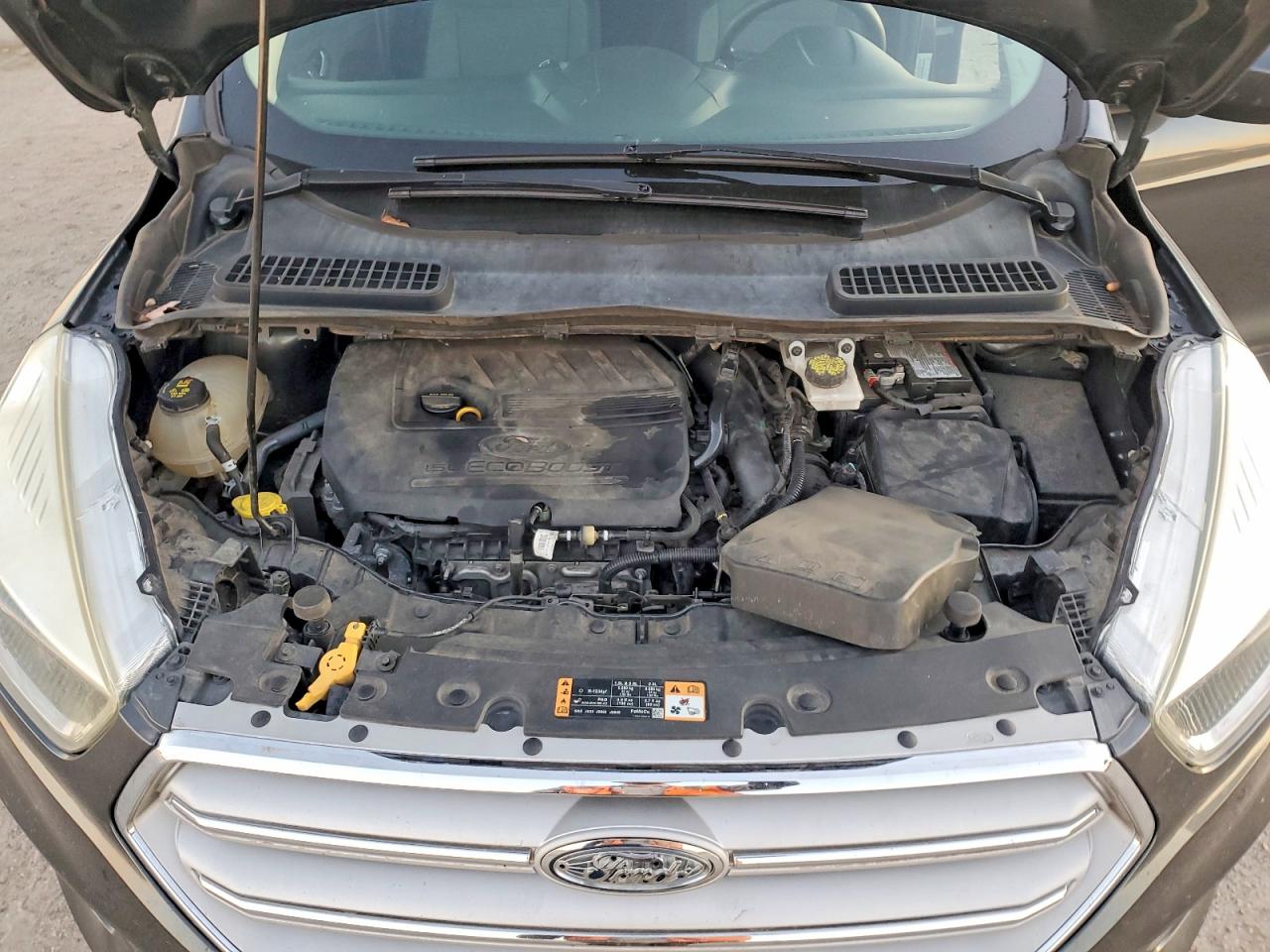 2018 FORD ESCAPE SE photo 12