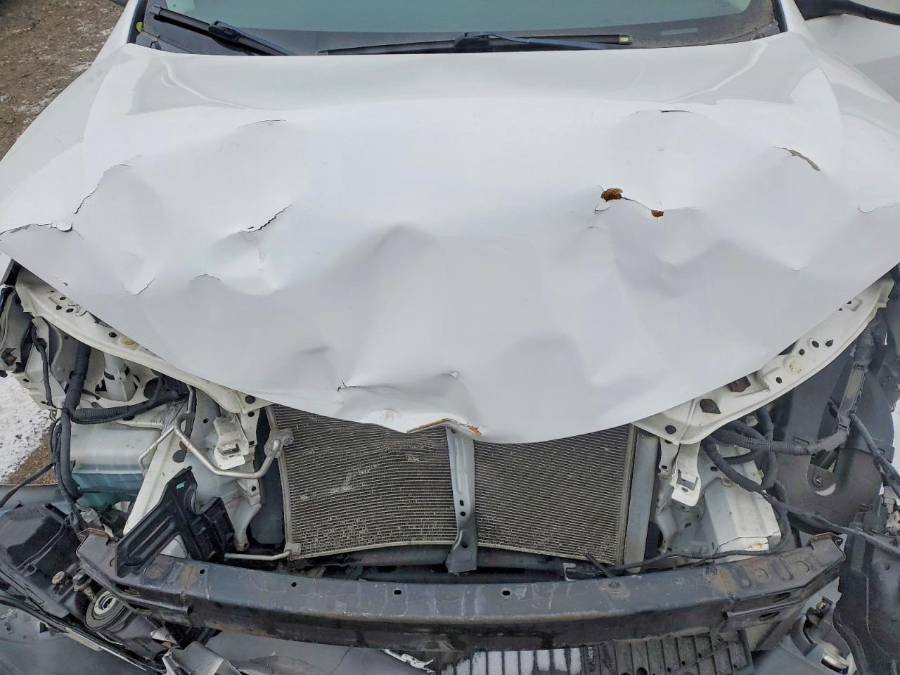 2014 TOYOTA COROLLA L photo 11
