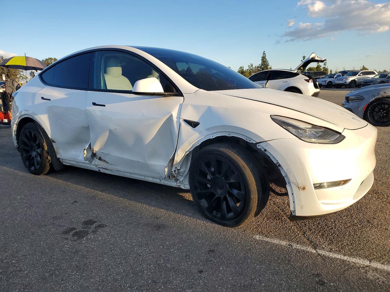 2021 TESLA MODEL Y photo 7