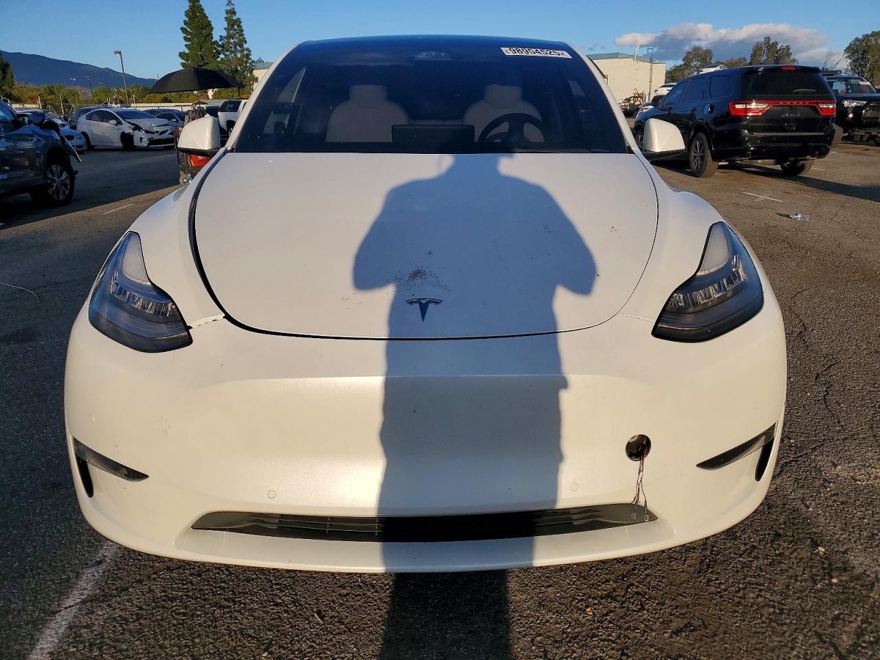 2021 TESLA MODEL Y photo 9