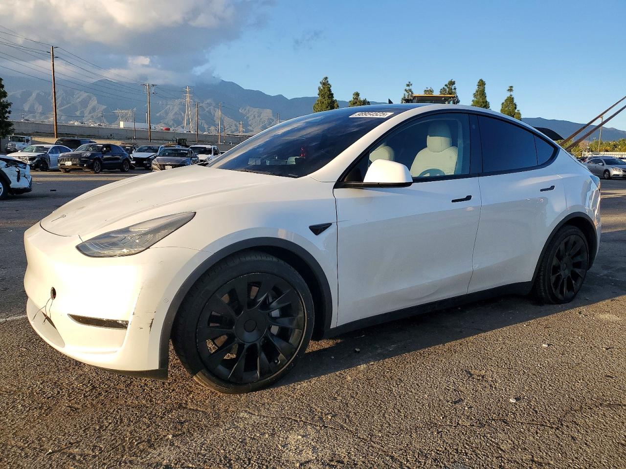 2021 TESLA MODEL Y