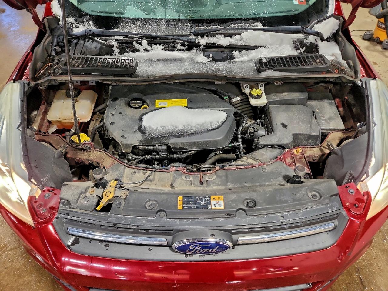 2016 FORD ESCAPE SE photo 12