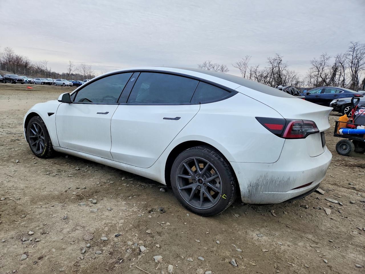 2022 TESLA MODEL 3 photo 3