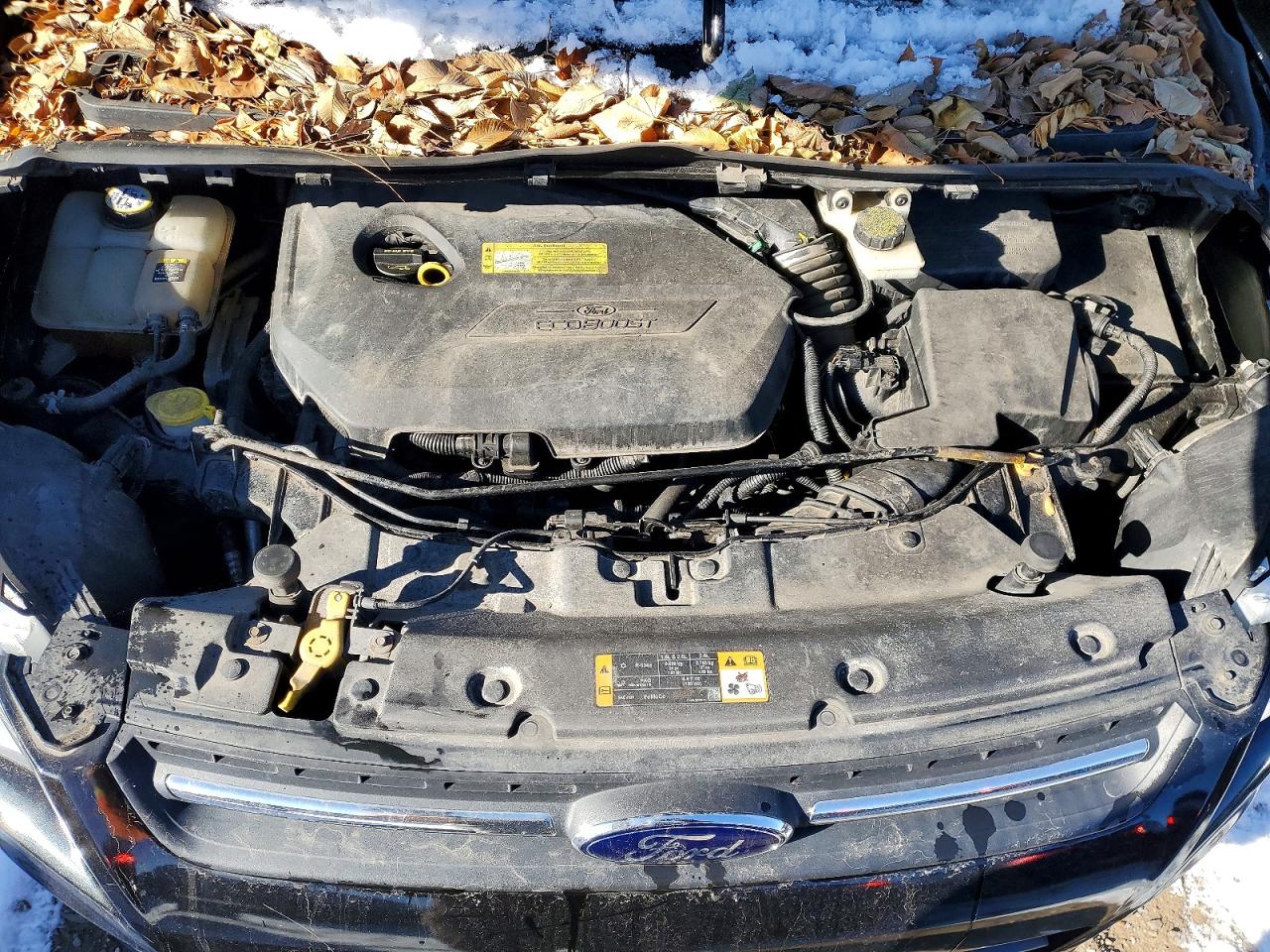 2013 FORD ESCAPE SE photo 11