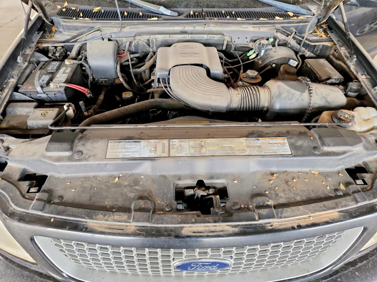 1999 FORD F150 photo 11