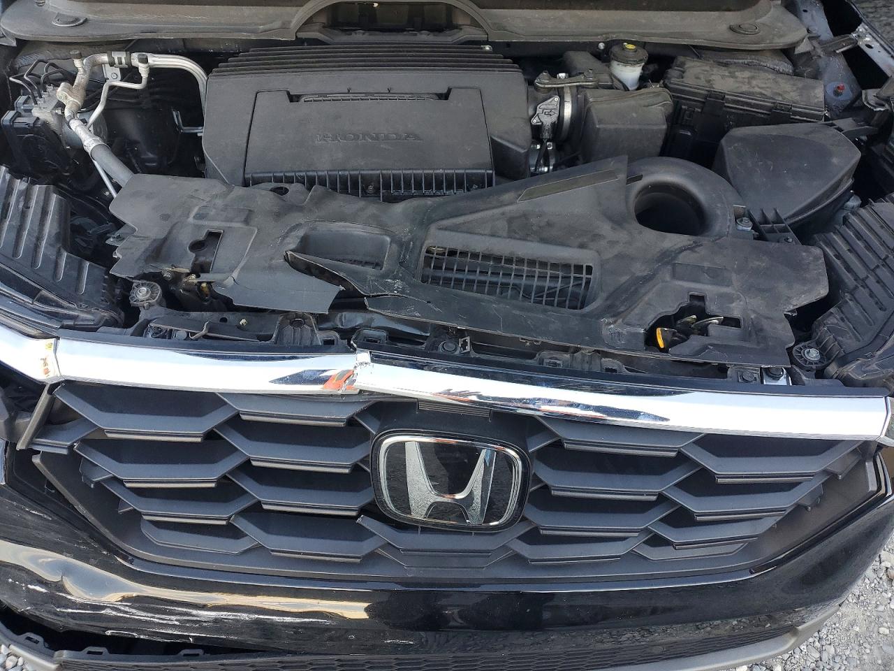 2025 HONDA PILOT EXL photo 12