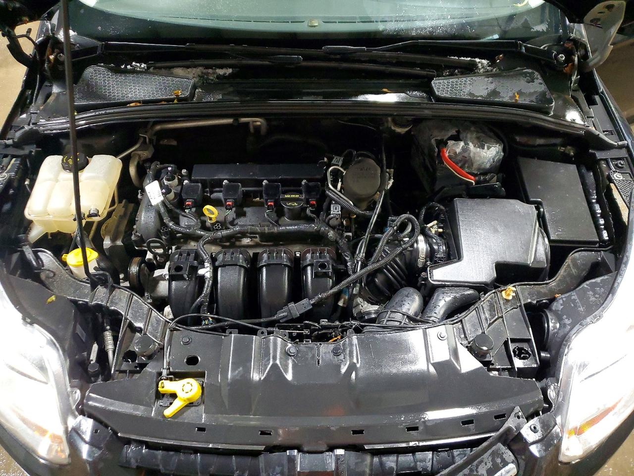 2013 FORD FOCUS SE photo 11