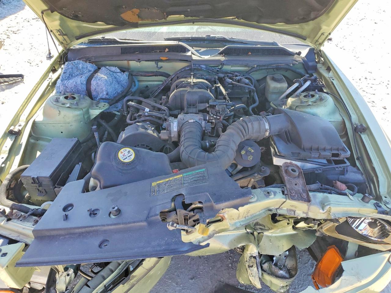 2005 FORD MUSTANG photo 11