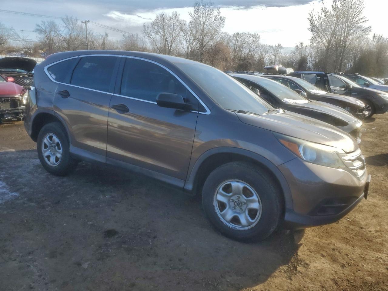 2014 HONDA CR-V LX photo 4