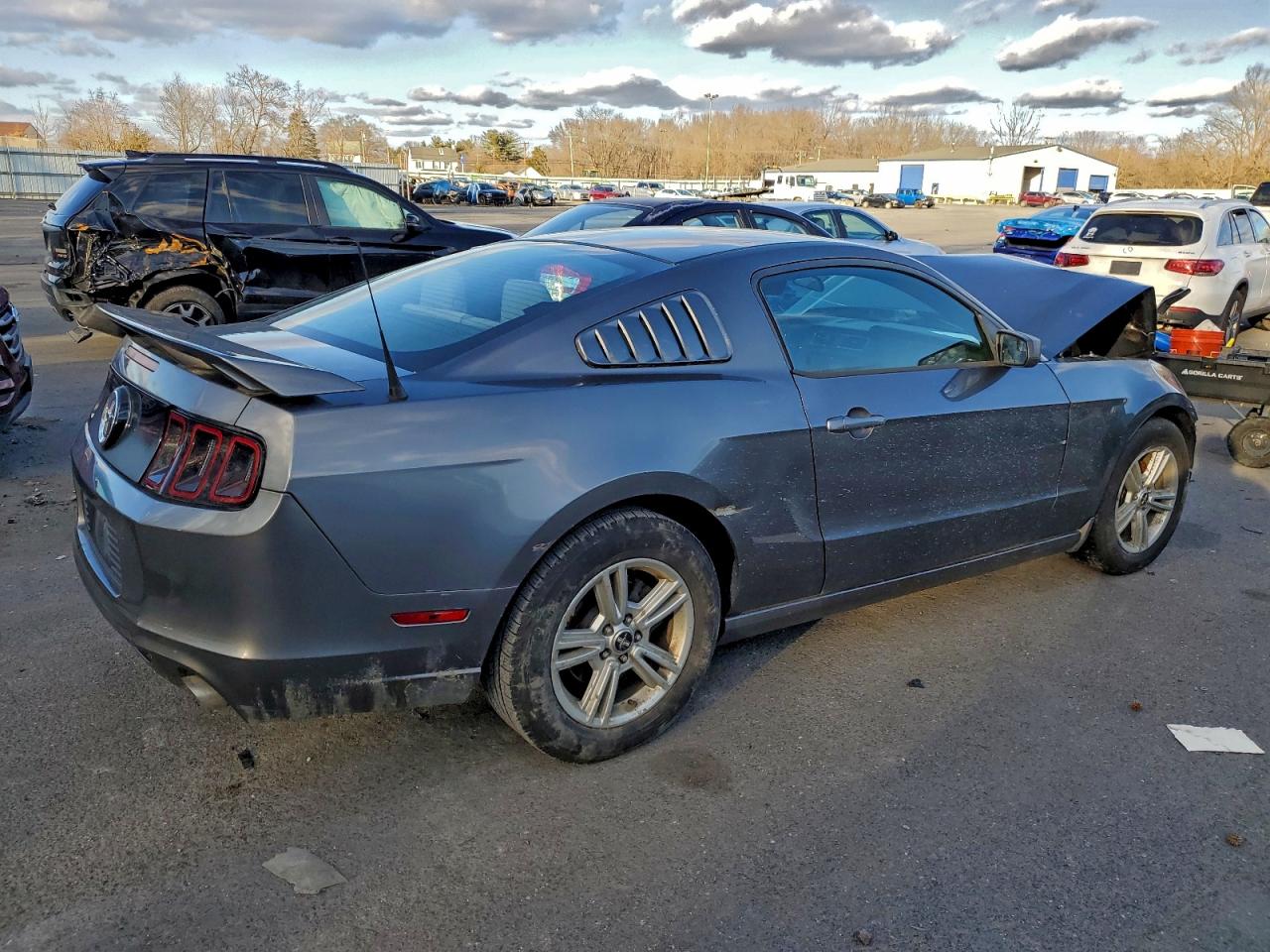 2014 FORD MUSTANG photo 3