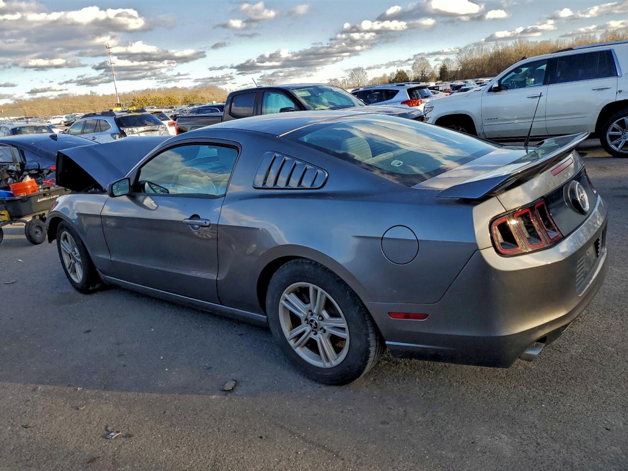 2014 FORD MUSTANG photo 2