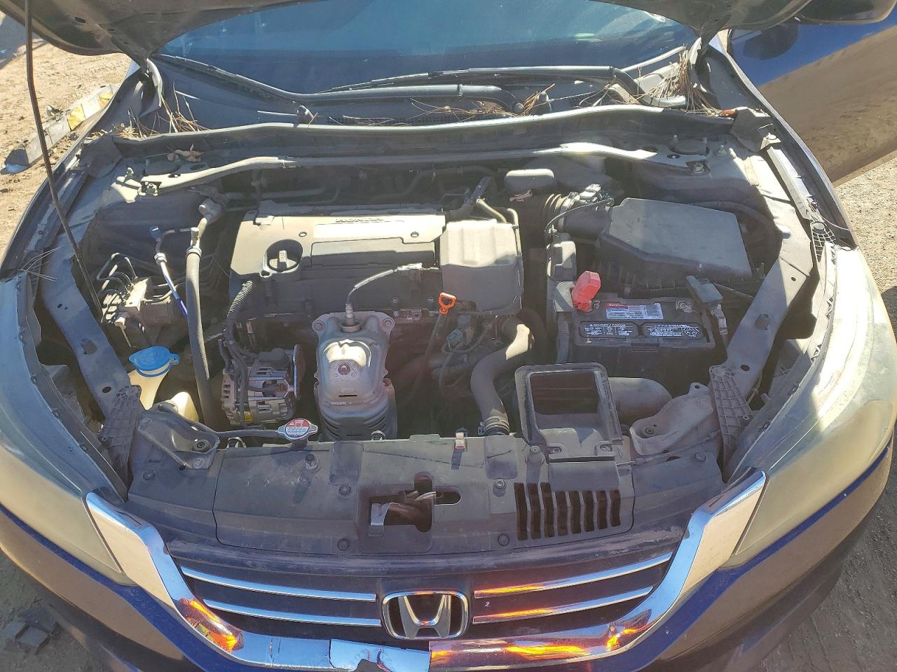 2014 HONDA ACCORD SPORT photo 11