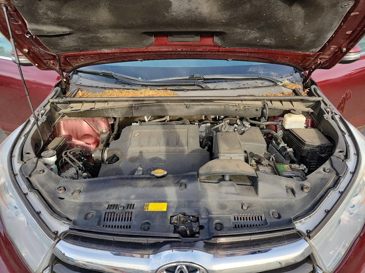 2014 TOYOTA HIGHLANDER XLE photo 12