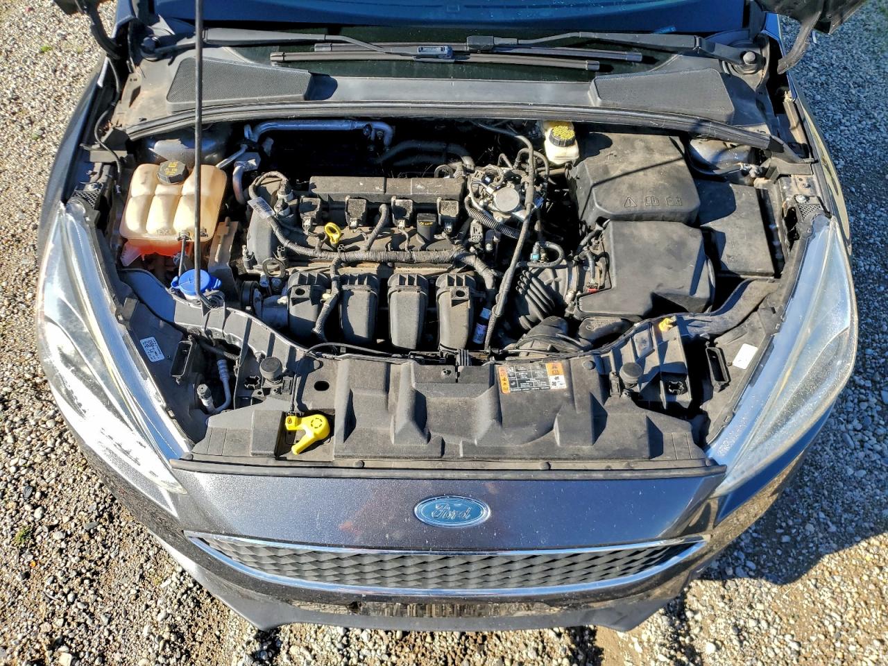 2017 FORD FOCUS SE photo 11