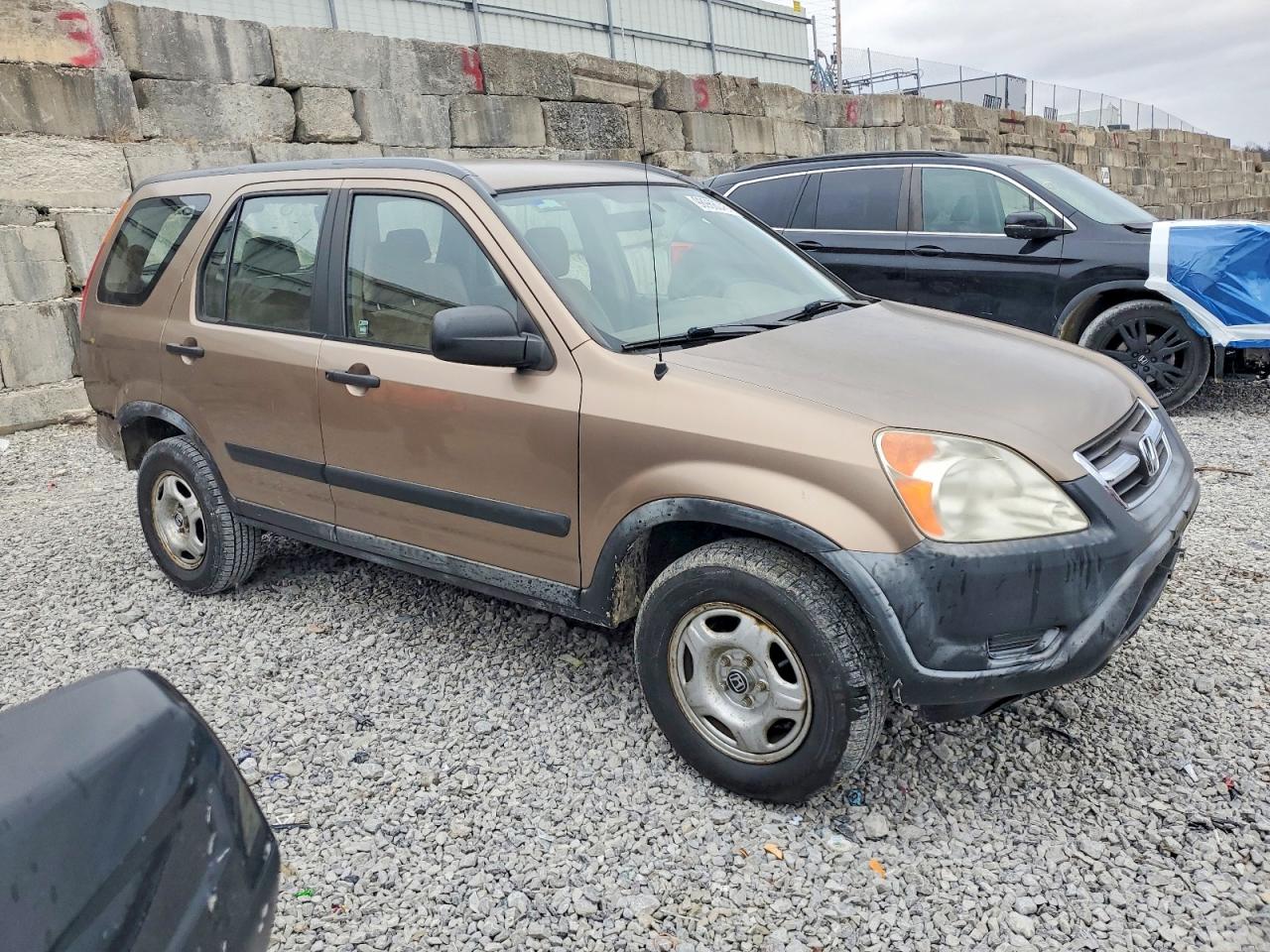 2003 HONDA CR-V LX photo 7