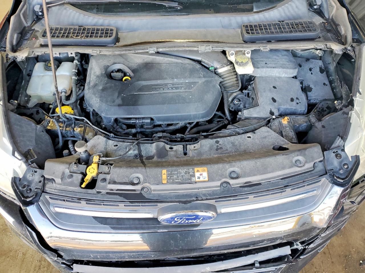 2014 FORD ESCAPE SE photo 12