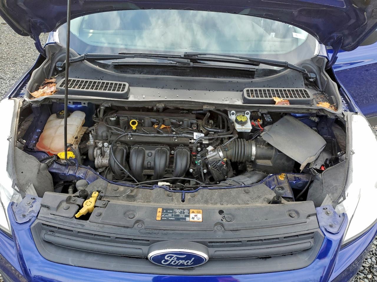 2016 FORD ESCAPE S photo 12