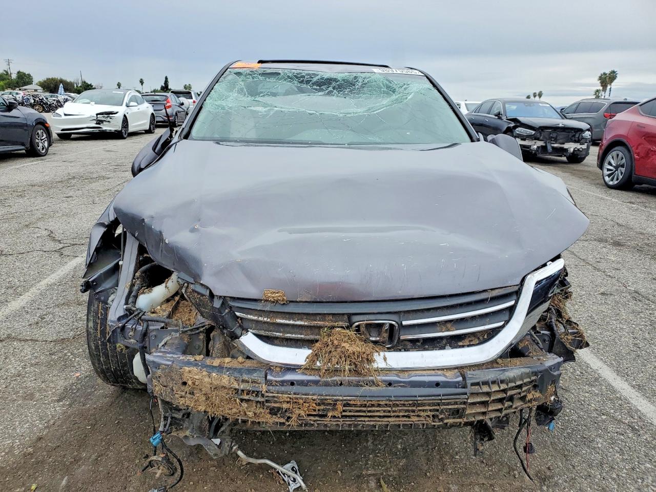 2015 HONDA ACCORD EX photo 5