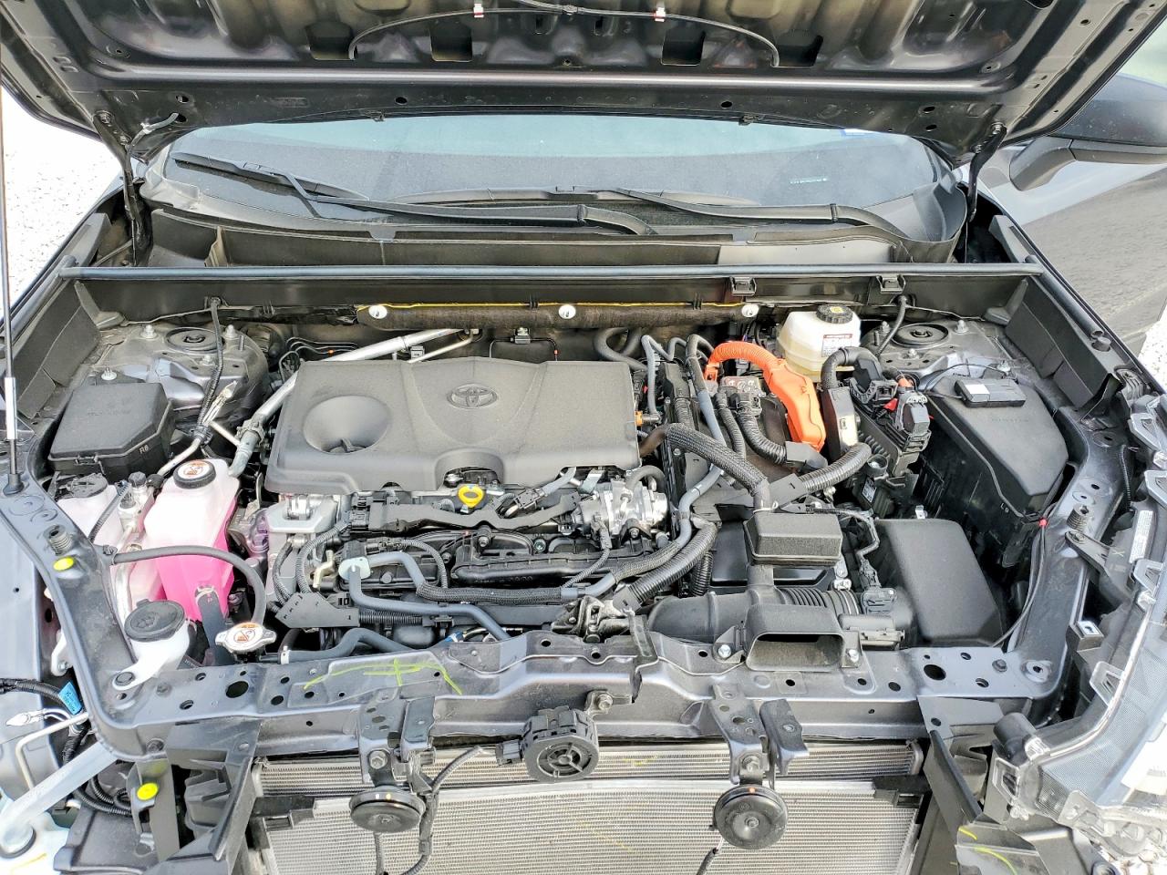 2025 TOYOTA RAV4 LE photo 34
