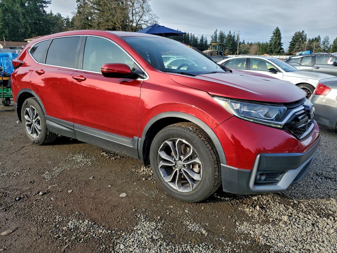 2020 HONDA CR-V EX photo 4