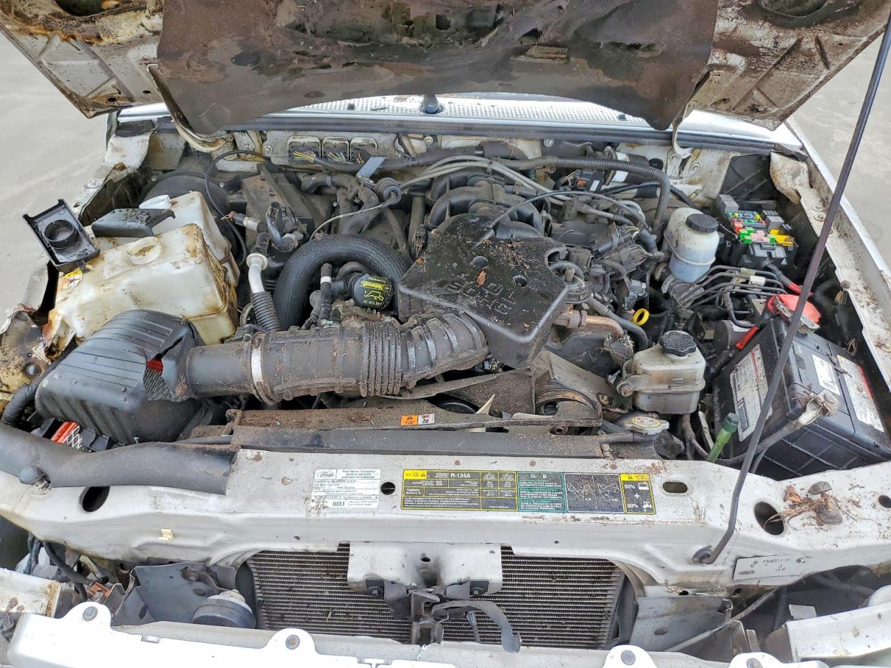 2010 FORD RANGER SUPER CAB photo 11