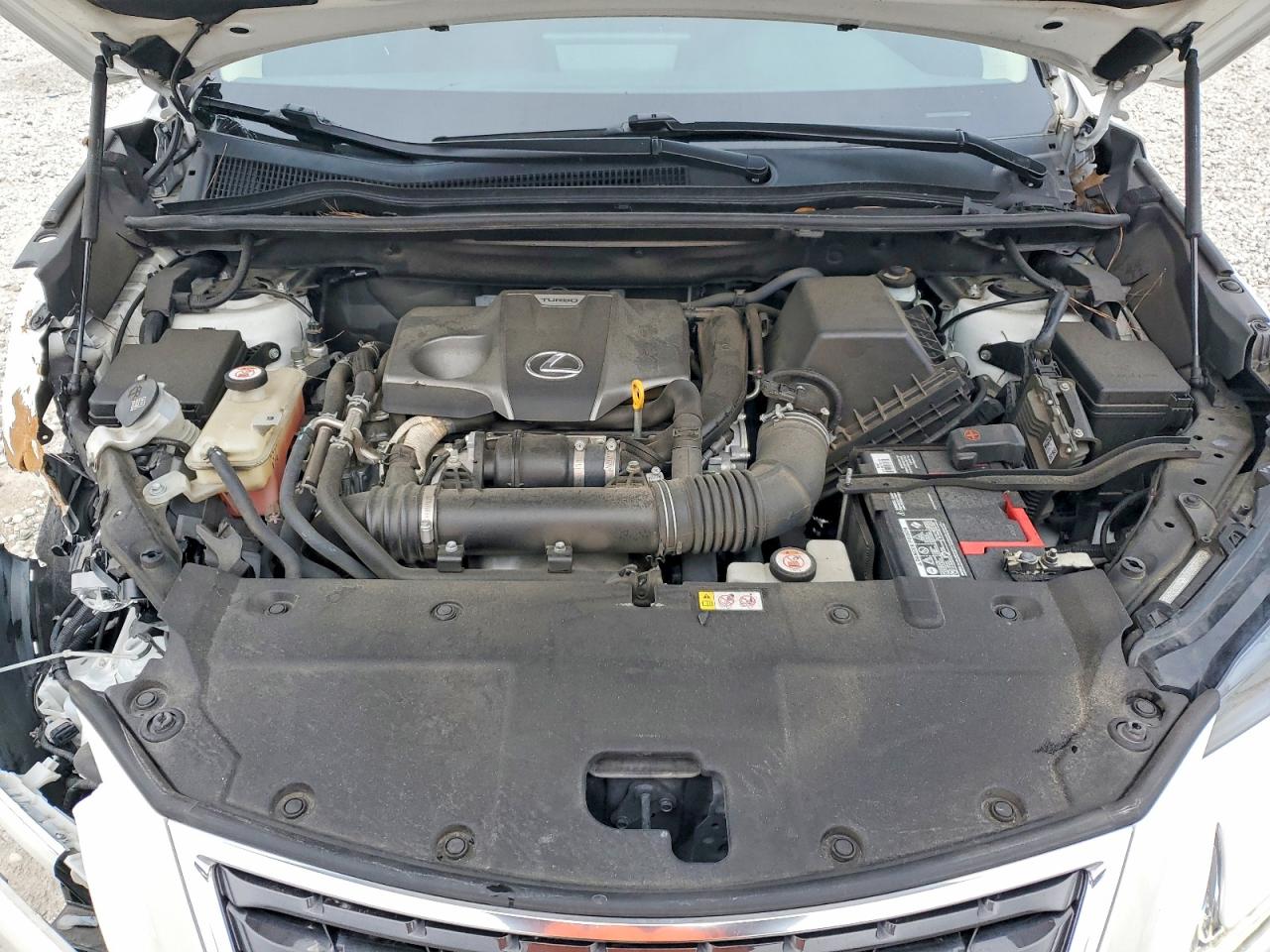 2020 LEXUS NX 300 photo 12
