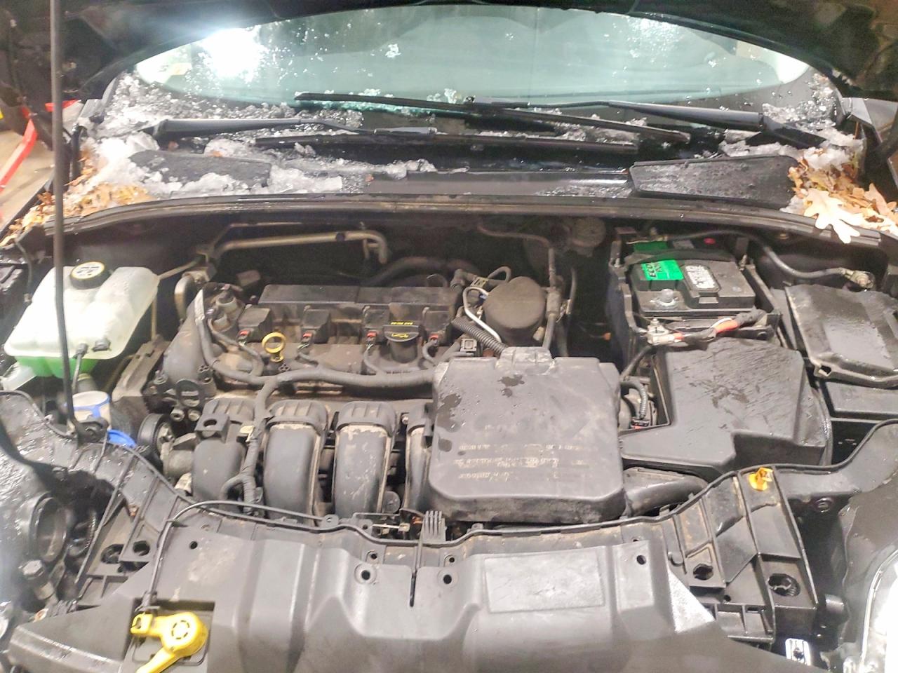 2013 FORD FOCUS SE photo 11