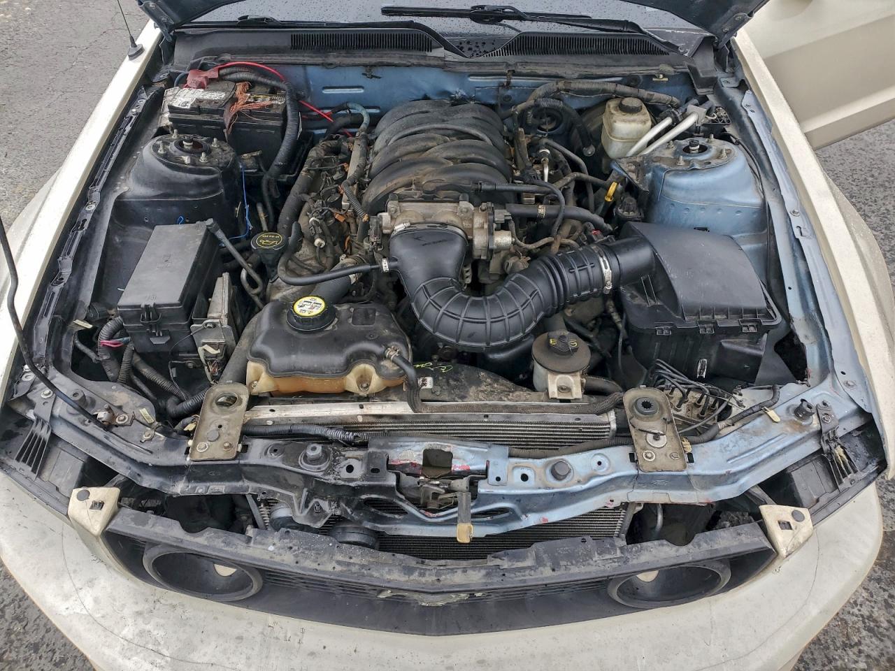 2006 FORD MUSTANG GT photo 21