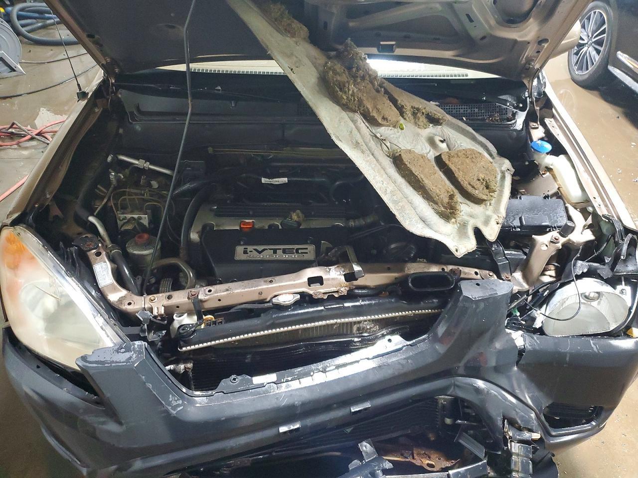 2004 HONDA CR-V EX photo 11
