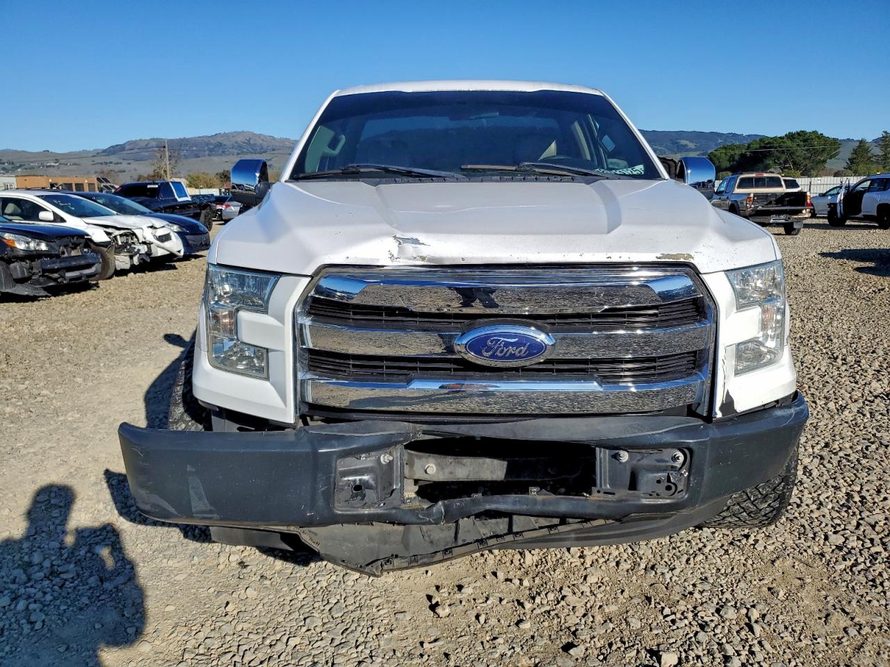 2015 FORD F150 photo 5