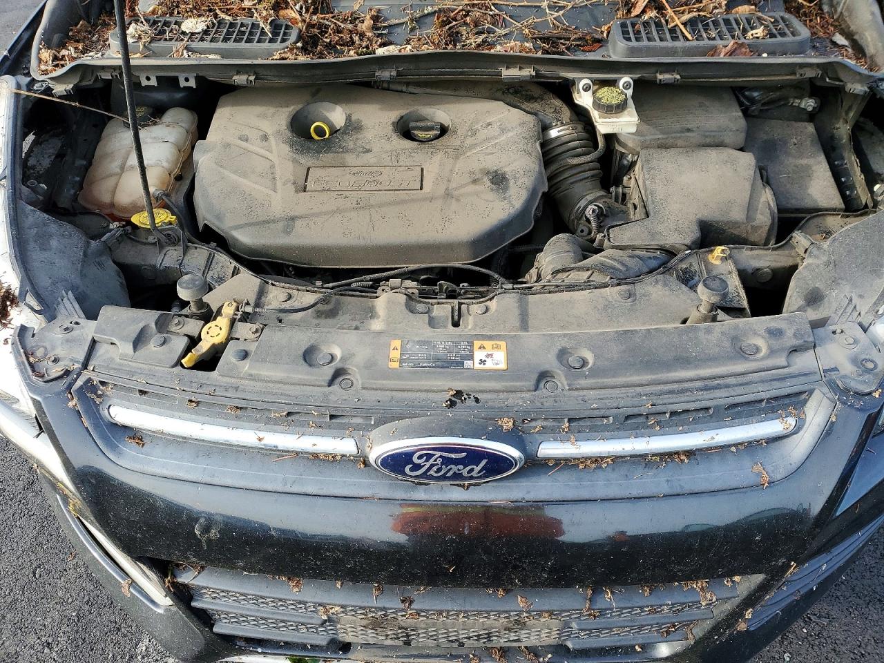 2014 FORD ESCAPE SE photo 11