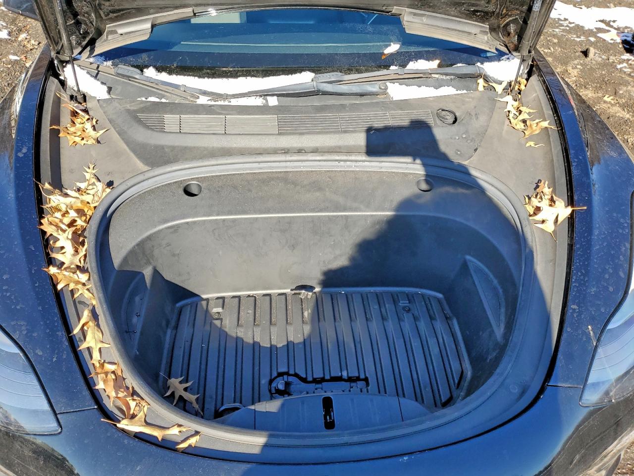 2022 TESLA MODEL 3 photo 11