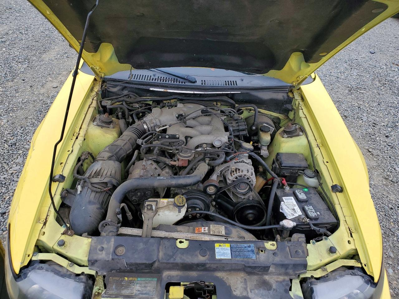 2003 FORD MUSTANG photo 11